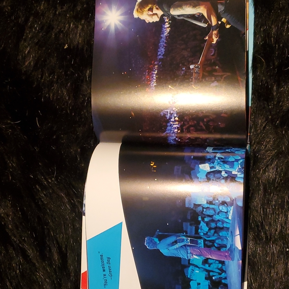Green Day book - Picture 3 of 5